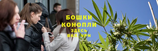 ГАЛЛЮЦИНОГЕННЫЕ ГРИБЫ Аркадак