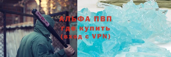 ГАЛЛЮЦИНОГЕННЫЕ ГРИБЫ Аркадак