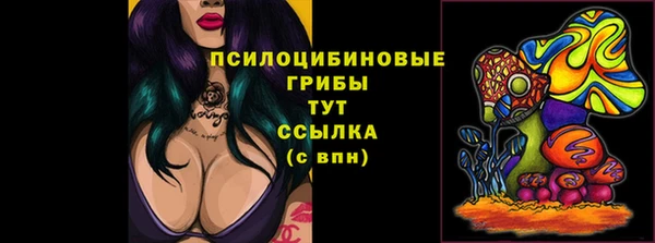 ГАЛЛЮЦИНОГЕННЫЕ ГРИБЫ Аркадак