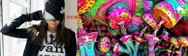 ГАЛЛЮЦИНОГЕННЫЕ ГРИБЫ Аркадак