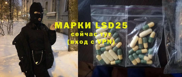ГАЛЛЮЦИНОГЕННЫЕ ГРИБЫ Аркадак