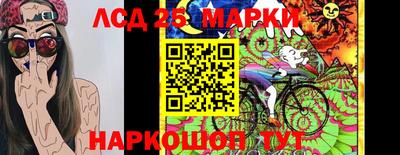 Альфа ПВП Обнинск