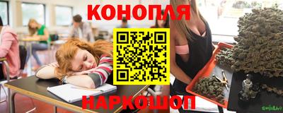 Альфа ПВП Обнинск